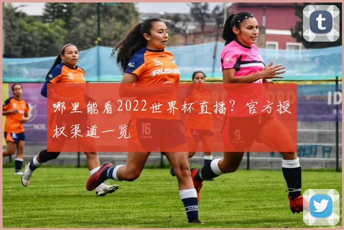 哪里能看2022世界杯直播?官方授权渠道一览