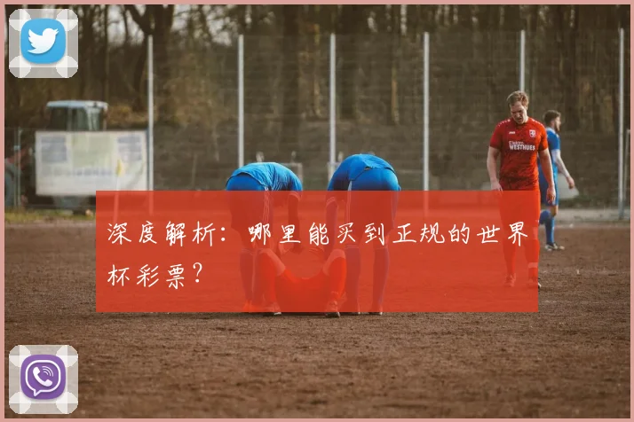 深度解析：哪里能买到正规的世界杯彩票？