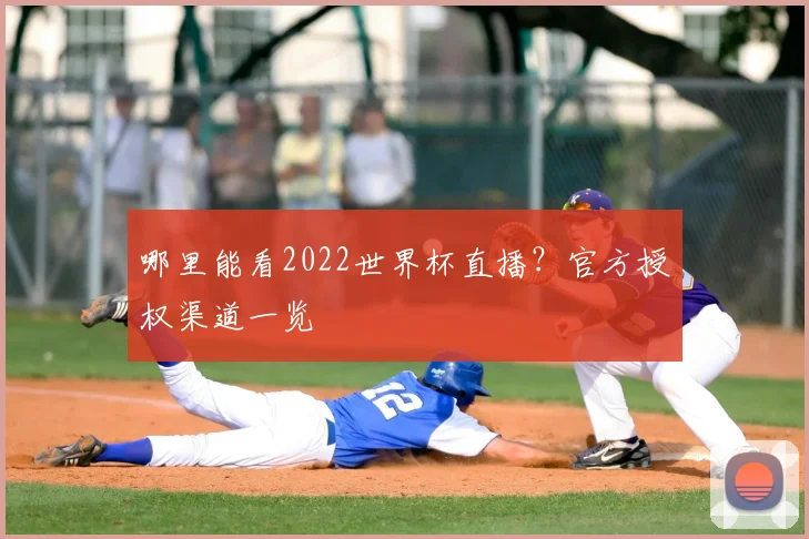 哪里能看2022世界杯直播？官方授权渠道一览