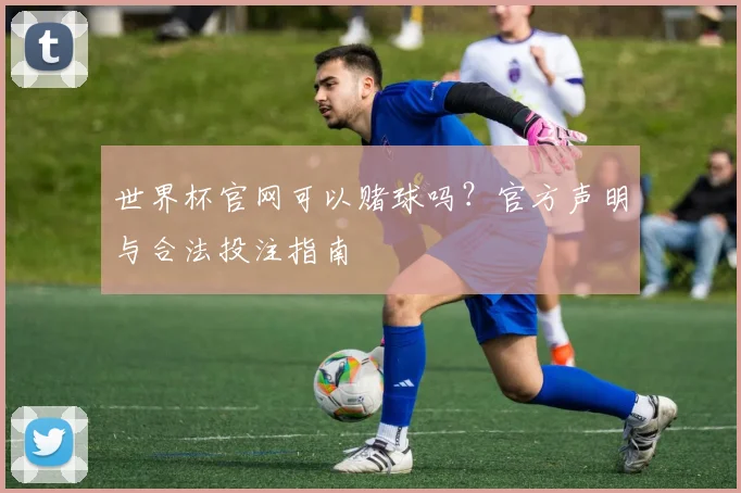 世界杯官网可以赌球吗？官方声明与合法投注指南