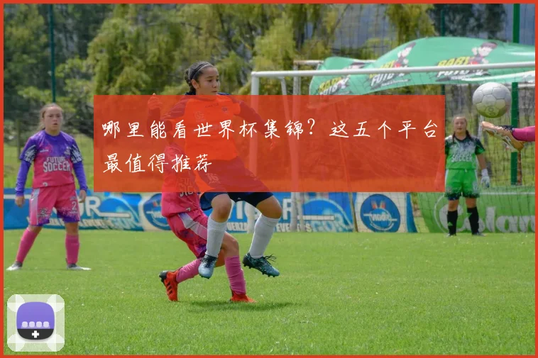 哪里能看世界杯集锦?这五个平台最值得推荐